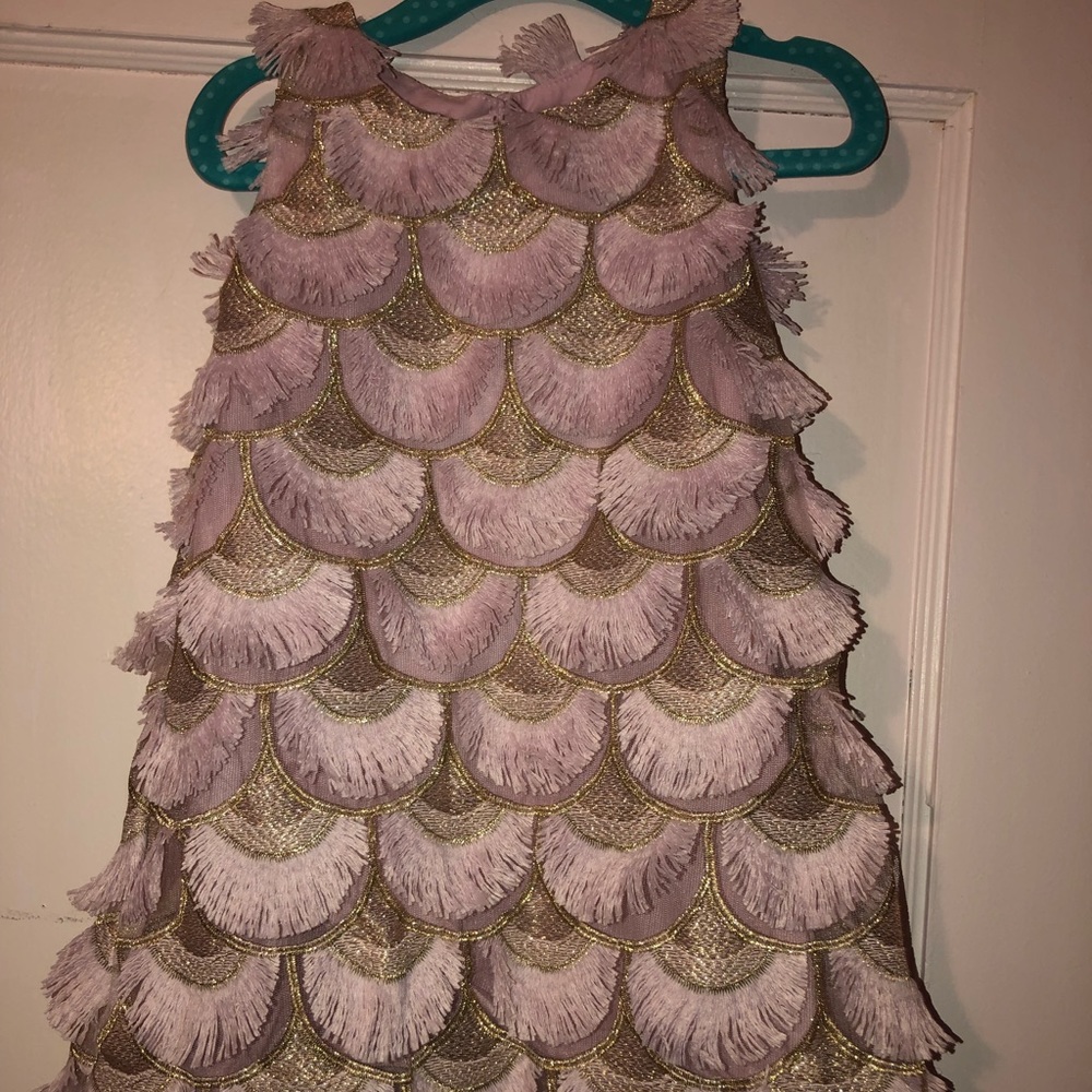 Pink and Gold Fringe Dress